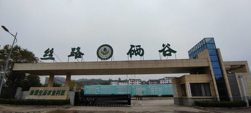 絲路硒谷香飄遠(yuǎn) 專家賦能譜新篇——安康市院士專家工作站現(xiàn)場(chǎng)會(huì)石泉行紀(jì)實(shí)