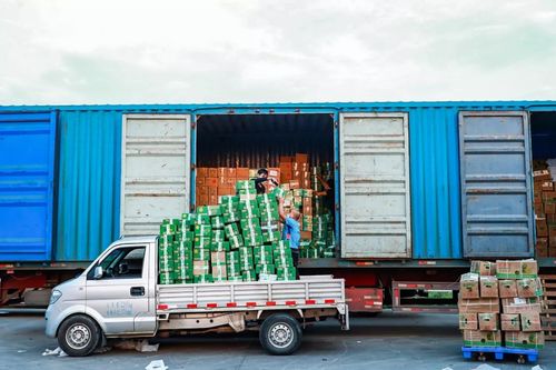 疫情陰影下的無(wú)聲群體 他們絕不該被忽視——以博宇佳業(yè)為例